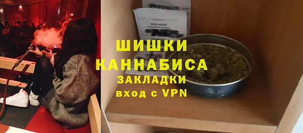 прущий лед Алзамай