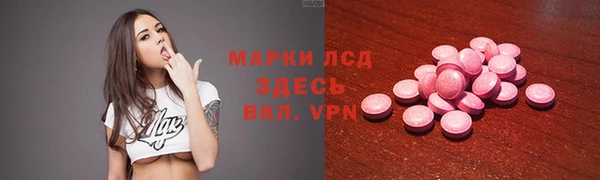 прущий лед Алзамай