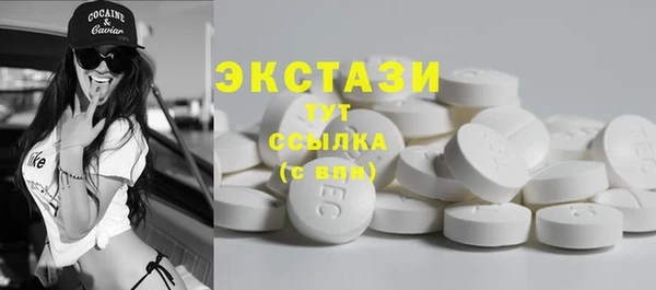 прущий лед Алзамай