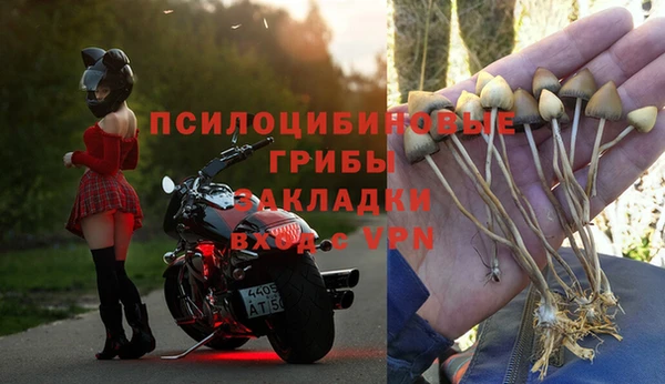 скорость mdpv Алексеевка