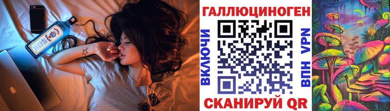 где найти наркотики  Сокол  Галлюциногенные грибы GOLDEN TEACHER 